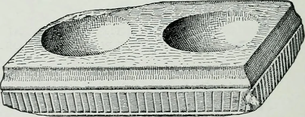 An illustration from The palaces of Crete and their builders, 1907, leaf 153
