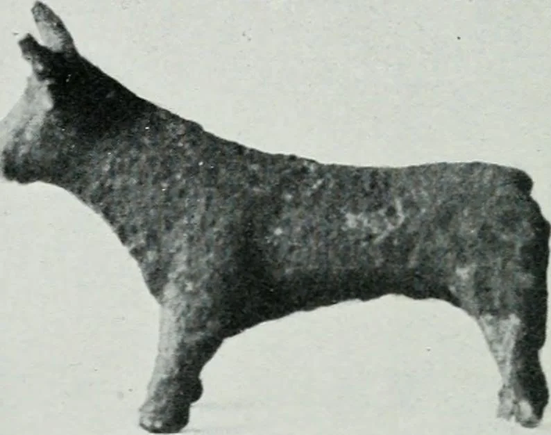 An illustration from The palaces of Crete and their builders, 1907, leaf 205