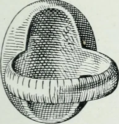 An illustration from The palaces of Crete and their builders, 1907, leaf 206
