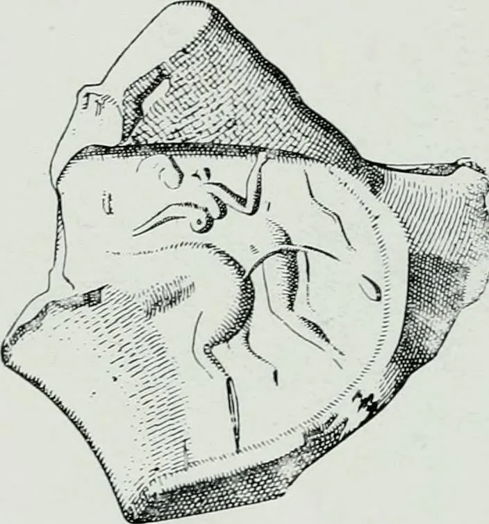 An illustration from The palaces of Crete and their builders, 1907, leaf 225