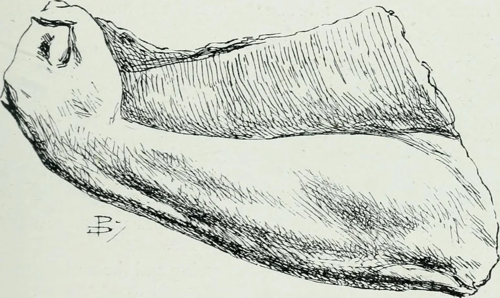 An illustration from The palaces of Crete and their builders, 1907, leaf 230