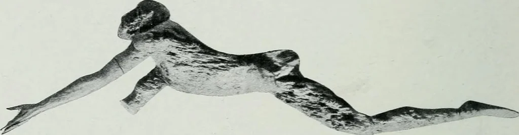 An illustration from The palaces of Crete and their builders, 1907, leaf 231