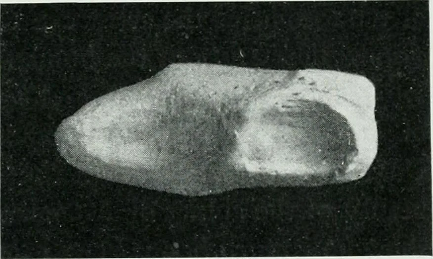 An illustration from The palaces of Crete and their builders, 1907, leaf 242