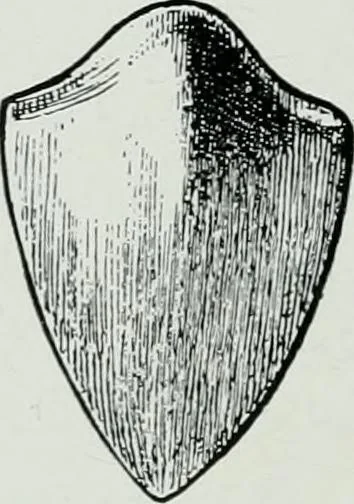 An illustration from The palaces of Crete and their builders, 1907, leaf 257
