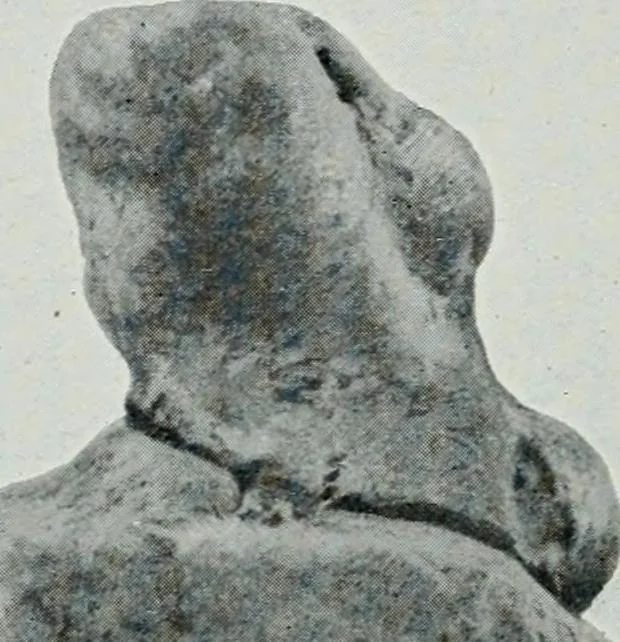 An illustration from The palaces of Crete and their builders, 1907, leaf 279
