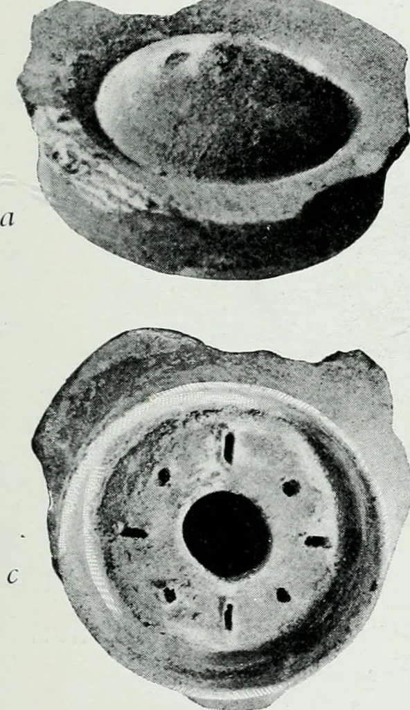 An illustration from The palaces of Crete and their builders, 1907, leaf 306