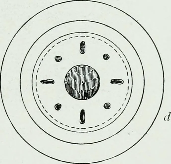 An illustration from The palaces of Crete and their builders, 1907, leaf 306