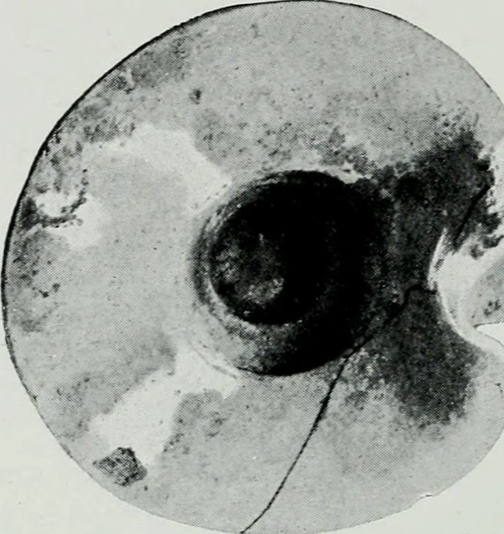 An illustration from The palaces of Crete and their builders, 1907, leaf 309