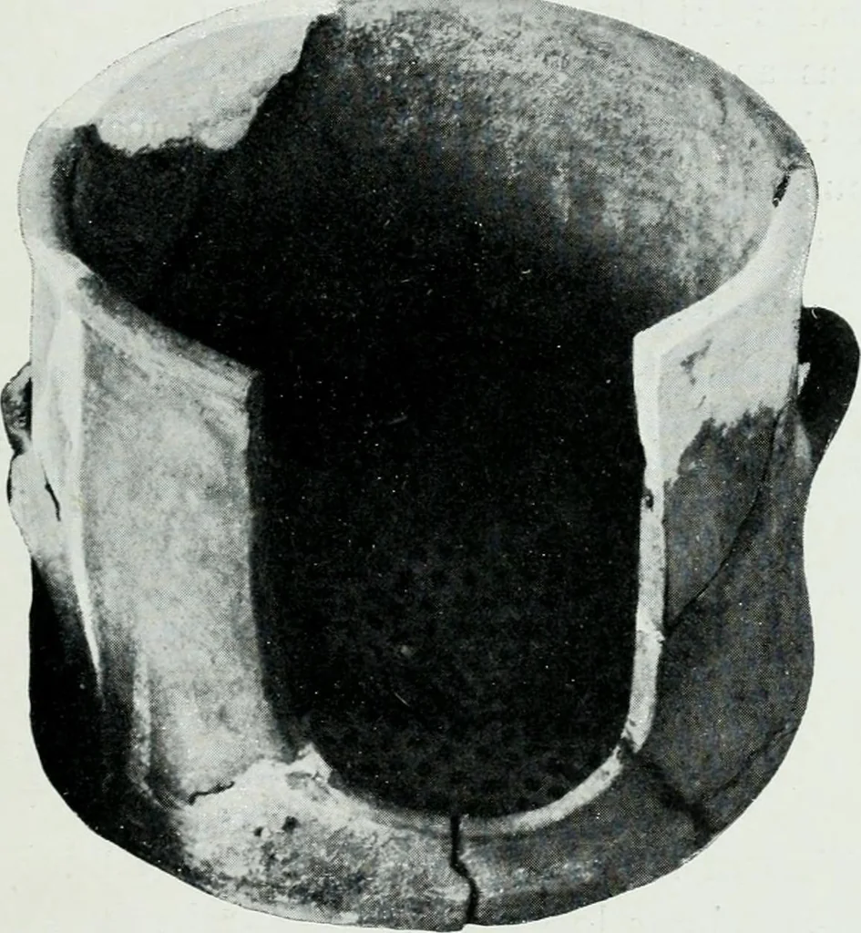 An illustration from The palaces of Crete and their builders, 1907, leaf 310