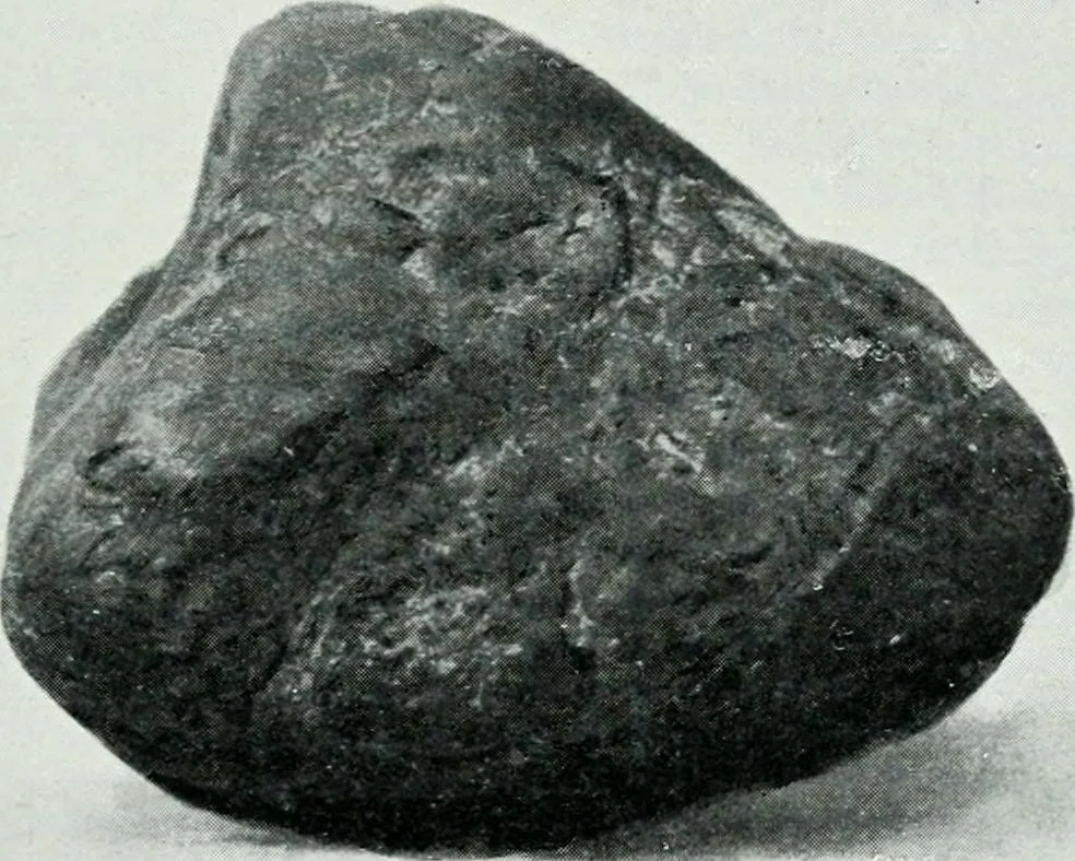 An illustration from The palaces of Crete and their builders, 1907, leaf 34