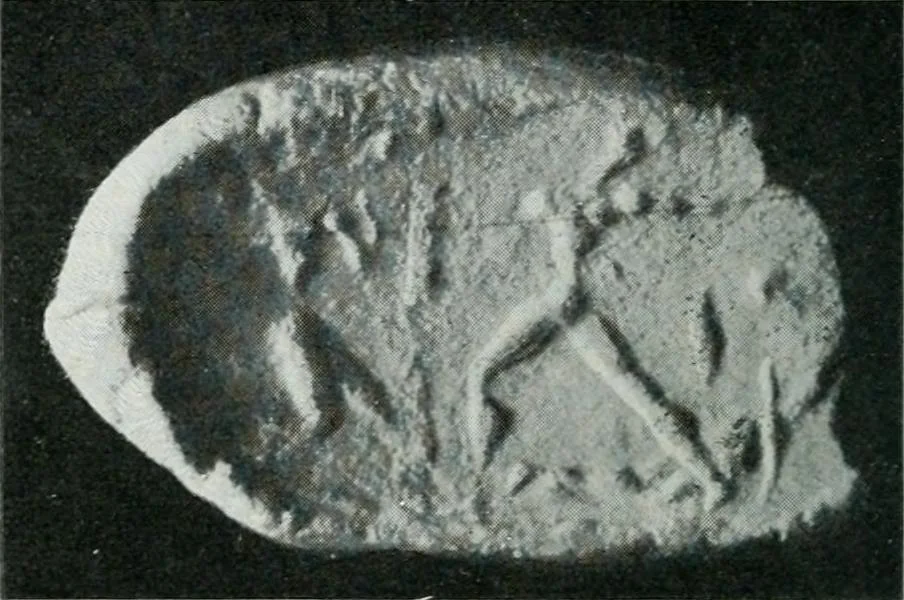 An illustration from The palaces of Crete and their builders, 1907, leaf 79
