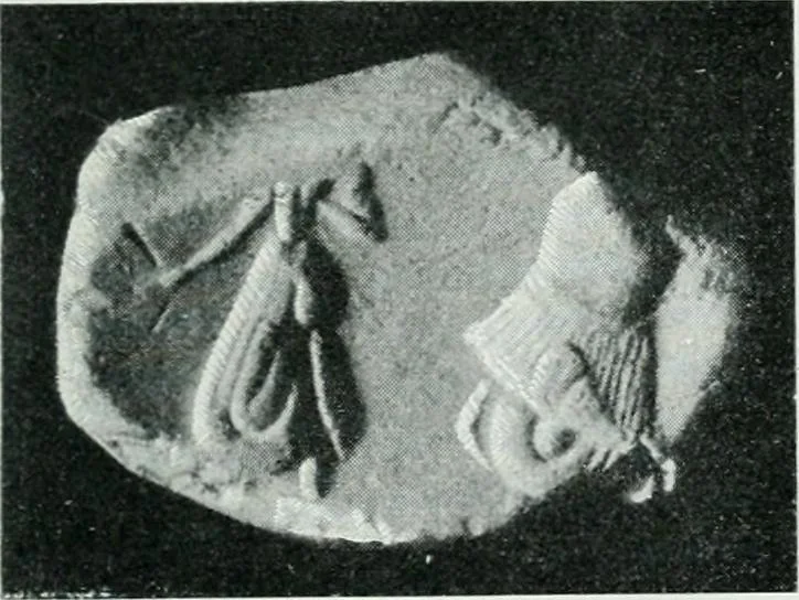 An illustration from The palaces of Crete and their builders, 1907, leaf 80