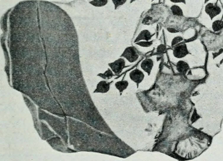 An illustration from The palaces of Crete and their builders, 1907, leaf 92
