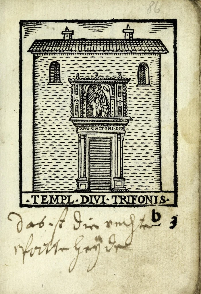 An illustration from Palatia procerum Romanȩ vrbis, 1589, leaf 113