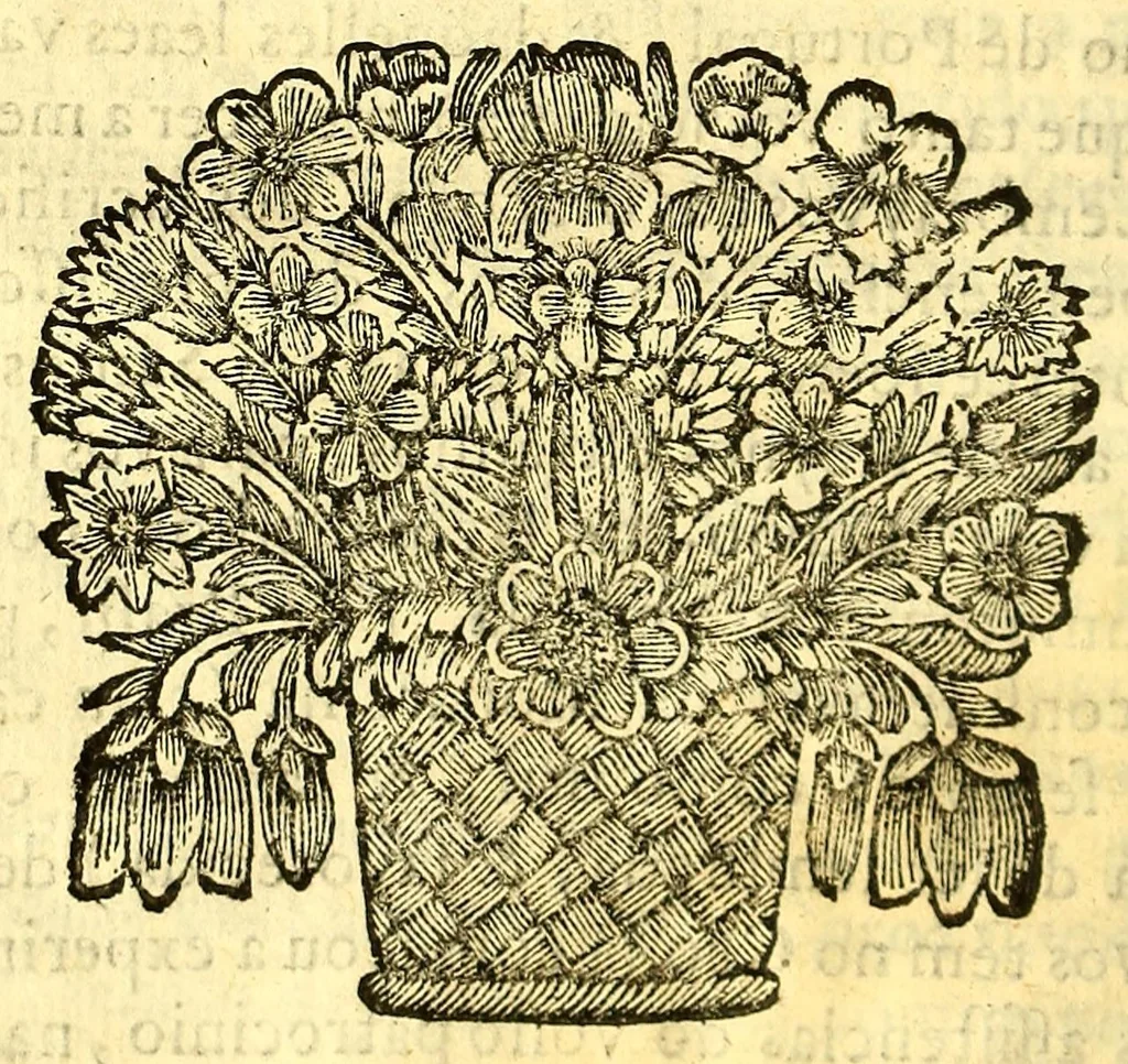 An illustration from Palavra de Deos empenhada, e desempenhada: : empenhada no sermam das exequias da rainha N. S. Dona Maria Francisca Isabel de Saboya; desempenhada no sermam de acçam de graças pelo nascimento do principe D. Joaõ primogenito de SS. Magestades, que Deos guarde., 1690, leaf 78