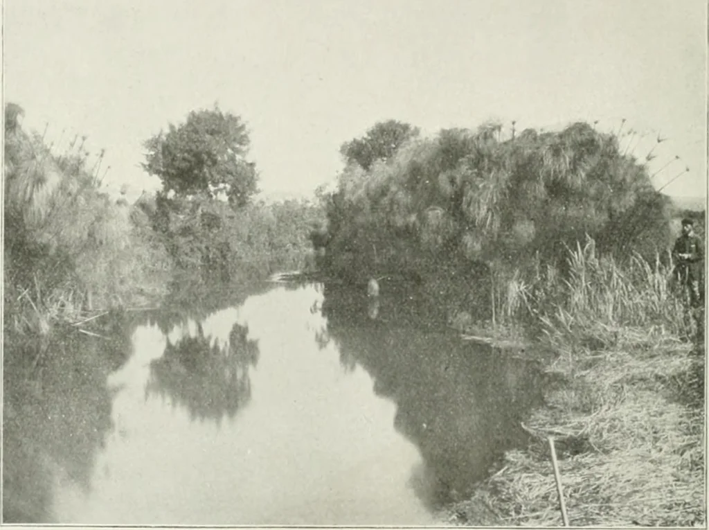 An illustration from Palerme & Syracuse, 1907, leaf 49