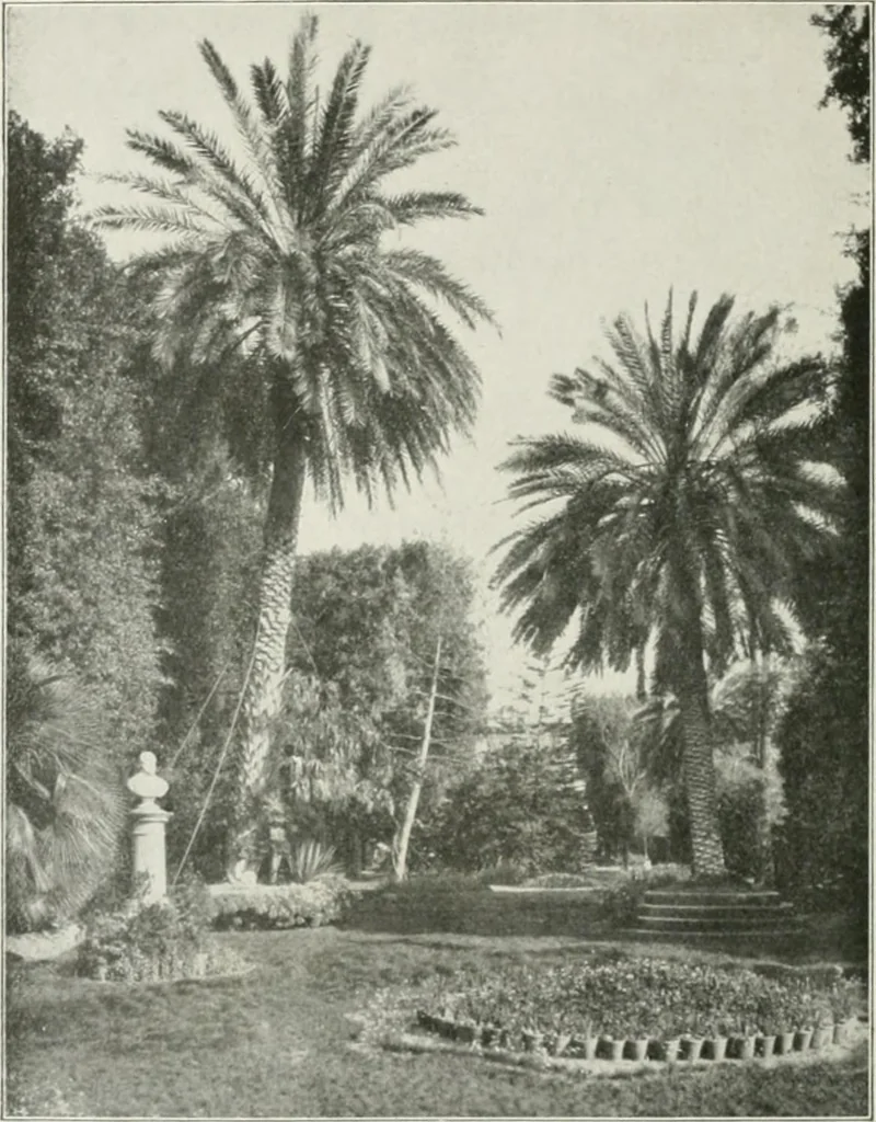 An illustration from Palerme & Syracuse, 1907, leaf 59