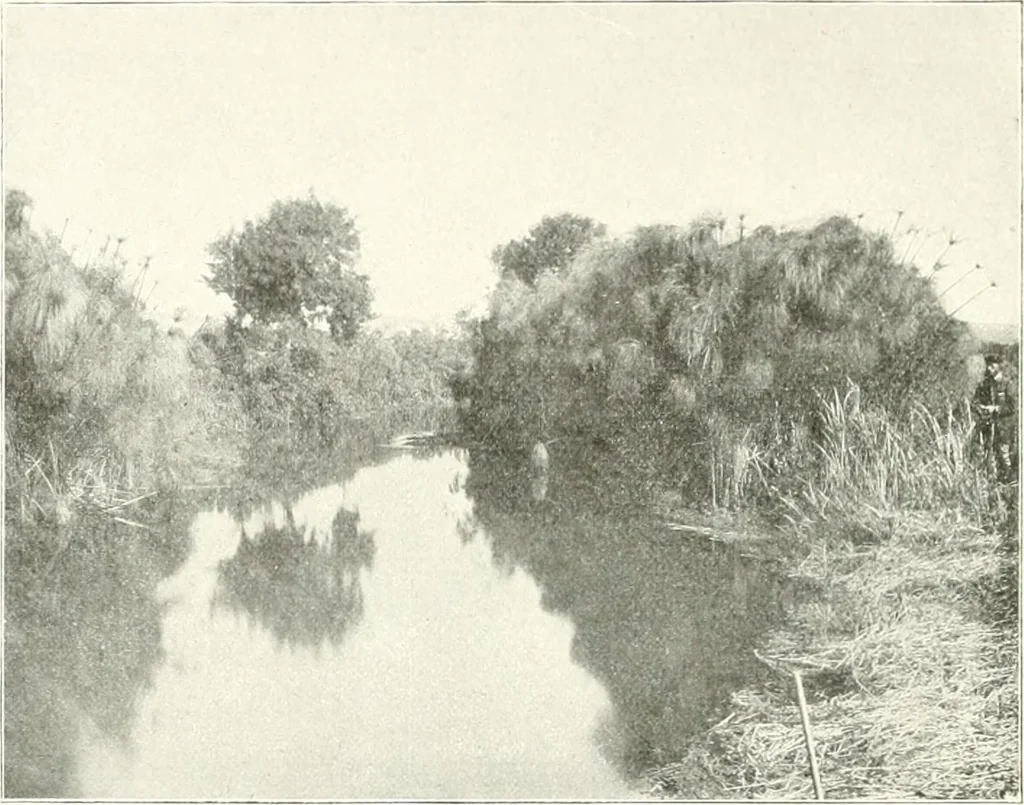 An illustration from Palerme & Syracuse, 1907, leaf 47