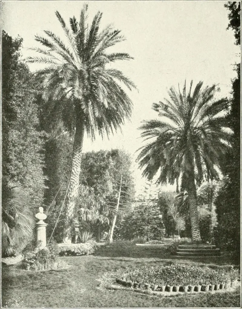 An illustration from Palerme & Syracuse, 1907, leaf 57