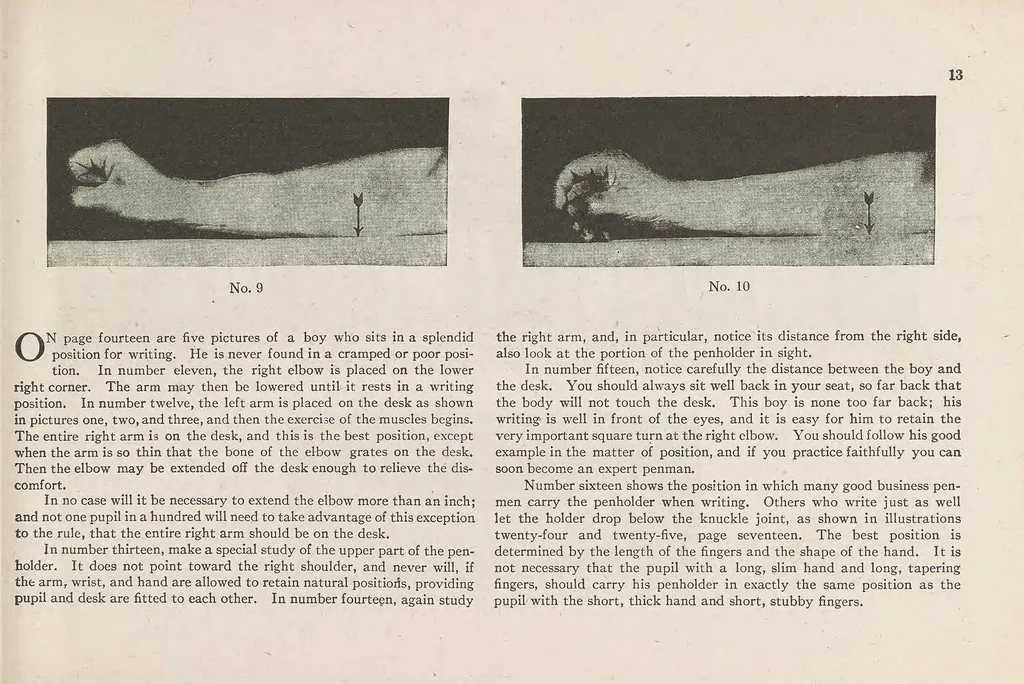 An illustration from The Palmer method of business writing : a series of self-teaching lessons in rapid, plain, unshaded, coarse-pen, muscular movement writing for use in all schools, public or private, where an easy and legible handwriting is the object sought; also for the home learner, 1915, leaf 15