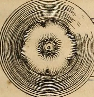 An illustration from Pami︠a︡tniki t︠s︡erkovnykh drevnosteĭ, 1857, leaf 116