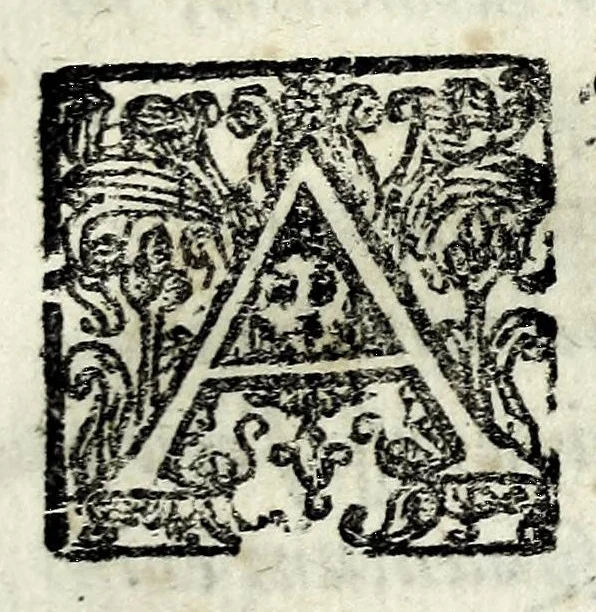 An illustration from [Pamphilia] : mundi vniuersi amicitia, cui dissidentes philosophorum opiniones conciliantur, & parantur ex re medica amicitiae, & praesertim coniugiis conducentia formositas, & foecunditas : opus philosophiae, & medicinae studiosis compositum, 1647, leaf 117