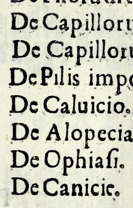 An illustration from [Pamphilia] : mundi vniuersi amicitia, cui dissidentes philosophorum opiniones conciliantur, & parantur ex re medica amicitiae, & praesertim coniugiis conducentia formositas, & foecunditas : opus philosophiae, & medicinae studiosis compositum, 1647, leaf 17