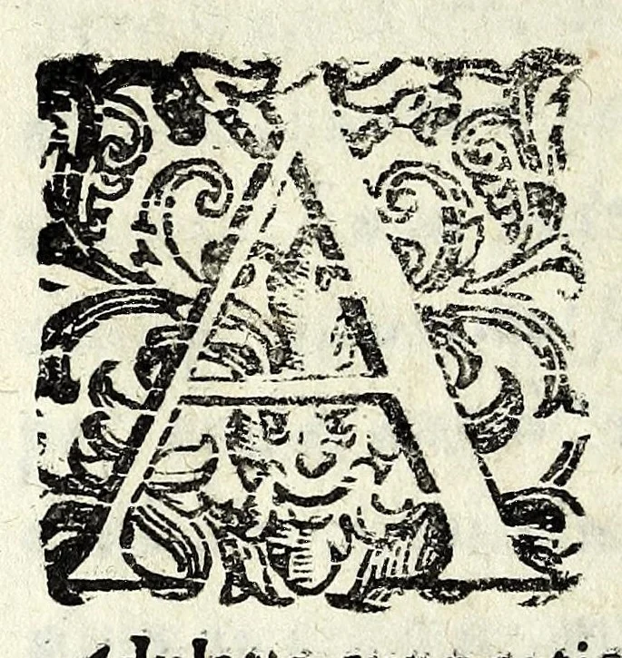 An illustration from [Pamphilia] : mundi vniuersi amicitia, cui dissidentes philosophorum opiniones conciliantur, & parantur ex re medica amicitiae, & praesertim coniugiis conducentia formositas, & foecunditas : opus philosophiae, & medicinae studiosis compositum, 1647, leaf 400