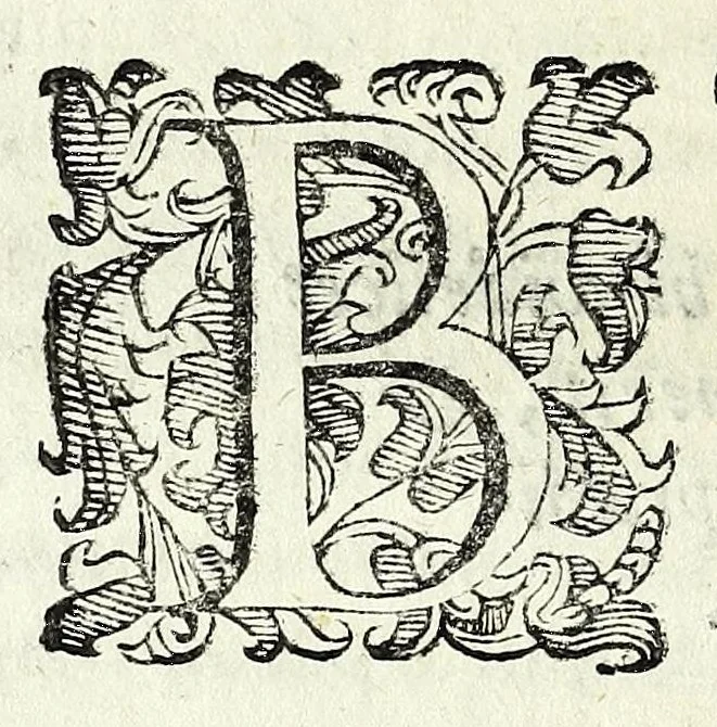 An illustration from [Pamphilia] : mundi vniuersi amicitia, cui dissidentes philosophorum opiniones conciliantur, & parantur ex re medica amicitiae, & praesertim coniugiis conducentia formositas, & foecunditas : opus philosophiae, & medicinae studiosis compositum, 1647, leaf 98