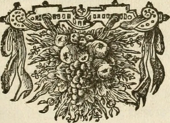 An illustration from Pampiere wereld, ofte, Wereldsche oeffeninge : waer in begrepen zijn meest alle de rijmen en werken, 1681, leaf 10