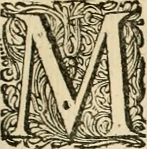 An illustration from Pampiere wereld, ofte, Wereldsche oeffeninge : waer in begrepen zijn meest alle de rijmen en werken, 1681, leaf 112