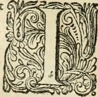 An illustration from Pampiere wereld, ofte, Wereldsche oeffeninge : waer in begrepen zijn meest alle de rijmen en werken, 1681, leaf 116