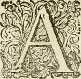 An illustration from Pampiere wereld, ofte, Wereldsche oeffeninge : waer in begrepen zijn meest alle de rijmen en werken, 1681, leaf 14