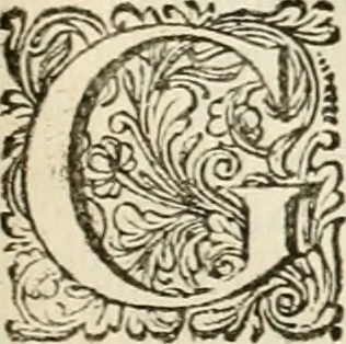 An illustration from Pampiere wereld, ofte, Wereldsche oeffeninge : waer in begrepen zijn meest alle de rijmen en werken, 1681, leaf 158