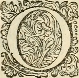 An illustration from Pampiere wereld, ofte, Wereldsche oeffeninge : waer in begrepen zijn meest alle de rijmen en werken, 1681, leaf 169