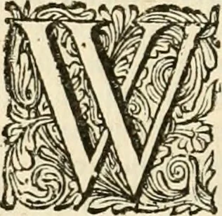 An illustration from Pampiere wereld, ofte, Wereldsche oeffeninge : waer in begrepen zijn meest alle de rijmen en werken, 1681, leaf 239