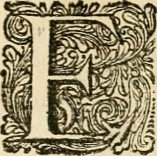 An illustration from Pampiere wereld, ofte, Wereldsche oeffeninge : waer in begrepen zijn meest alle de rijmen en werken, 1681, leaf 520