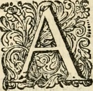 An illustration from Pampiere wereld, ofte, Wereldsche oeffeninge : waer in begrepen zijn meest alle de rijmen en werken, 1681, leaf 63