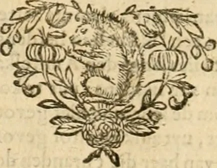 An illustration from Pampiere wereld, ofte, Wereldsche oeffeninge : waer in begrepen zijn meest alle de rijmen en werken, 1681, leaf 713