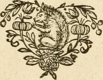 An illustration from Pampiere wereld, ofte, Wereldsche oeffeninge : waer in begrepen zijn meest alle de rijmen en werken, 1681, leaf 792