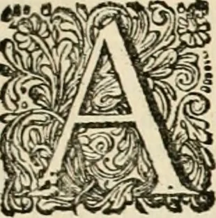 An illustration from Pampiere wereld, ofte, Wereldsche oeffeninge : waer in begrepen zijn meest alle de rijmen en werken, 1681, leaf 86