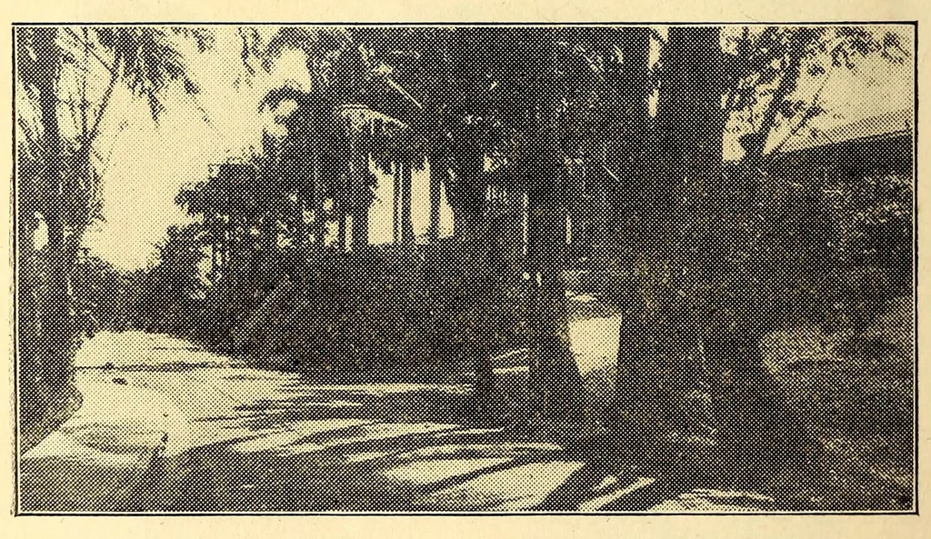 An illustration from The Panama guide, 1912, leaf 48