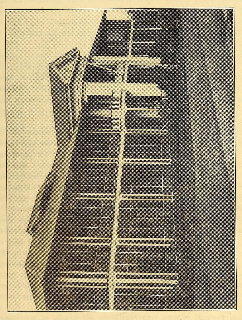 An illustration from The Panama guide, 1912, leaf 57