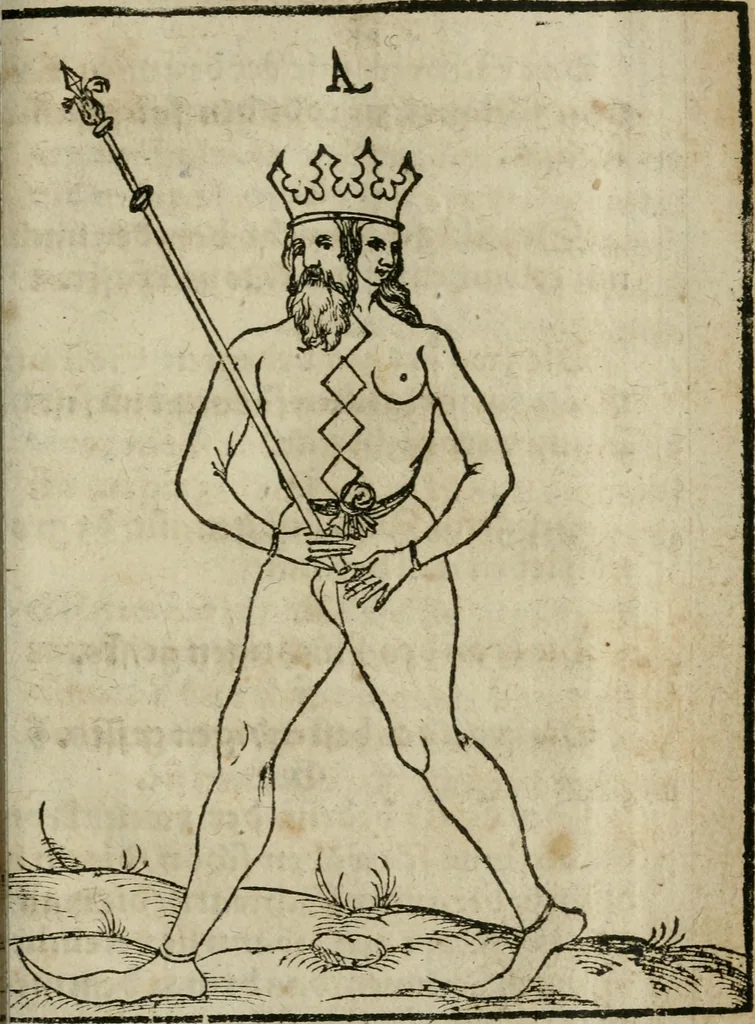 An illustration from Pandora, das ist, Die edleste Gab Gottes, oder, Der werde vnnd heilsamme Stein der Weysen, mit welchem die alten Philosophi, auch Theophrastus Paracelsus, die vnvolkom[m]ene Metallen, durch Gewalt des Fewrs verbessert, sampt allerley schädliche vnd unheilsame Kranckheiten, innerlich vnd eusserlich haben vertrieben : ein Guldener Schatz, welcher durch einen Liebhaber diser Kunst, von seinem Untergang errettet ist worden, vnnd zu Nutz allen Menschen, fürnem[m]lich den Liebhabern der Paracelsischen Artzney, erst jetz in Truck verfertiget, 1582, leaf 242