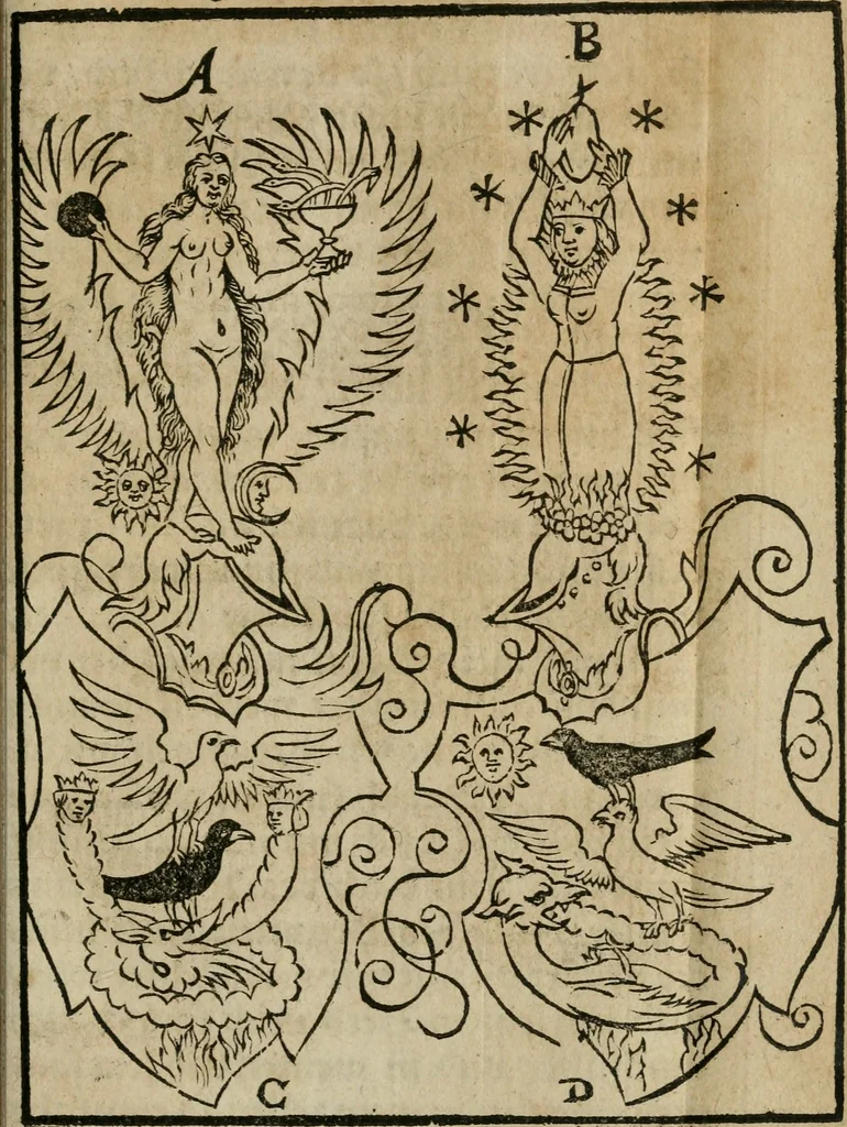 An illustration from Pandora, das ist, Die edleste Gab Gottes, oder, Der werde vnnd heilsamme Stein der Weysen, mit welchem die alten Philosophi, auch Theophrastus Paracelsus, die vnvolkom[m]ene Metallen, durch Gewalt des Fewrs verbessert, sampt allerley schädliche vnd unheilsame Kranckheiten, innerlich vnd eusserlich haben vertrieben : ein Guldener Schatz, welcher durch einen Liebhaber diser Kunst, von seinem Untergang errettet ist worden, vnnd zu Nutz allen Menschen, fürnem[m]lich den Liebhabern der Paracelsischen Artzney, erst jetz in Truck verfertiget, 1582, leaf 252