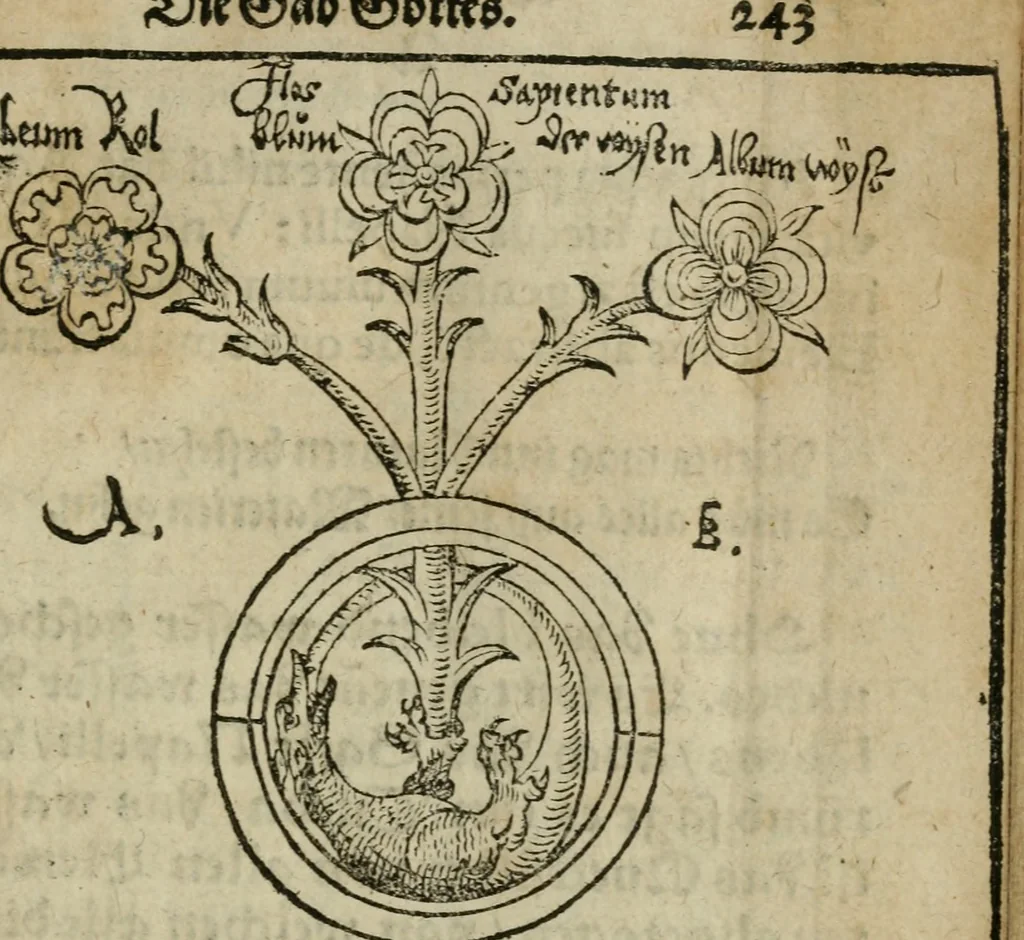 An illustration from Pandora, das ist, Die edleste Gab Gottes, oder, Der werde vnnd heilsamme Stein der Weysen, mit welchem die alten Philosophi, auch Theophrastus Paracelsus, die vnvolkom[m]ene Metallen, durch Gewalt des Fewrs verbessert, sampt allerley schädliche vnd unheilsame Kranckheiten, innerlich vnd eusserlich haben vertrieben : ein Guldener Schatz, welcher durch einen Liebhaber diser Kunst, von seinem Untergang errettet ist worden, vnnd zu Nutz allen Menschen, fürnem[m]lich den Liebhabern der Paracelsischen Artzney, erst jetz in Truck verfertiget, 1582, leaf 264