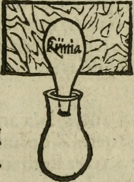 An illustration from Pandora, das ist, Die edleste Gab Gottes, oder, Der werde vnnd heilsamme Stein der Weysen, mit welchem die alten Philosophi, auch Theophrastus Paracelsus, die vnvolkom[m]ene Metallen, durch Gewalt des Fewrs verbessert, sampt allerley schädliche vnd unheilsame Kranckheiten, innerlich vnd eusserlich haben vertrieben : ein Guldener Schatz, welcher durch einen Liebhaber diser Kunst, von seinem Untergang errettet ist worden, vnnd zu Nutz allen Menschen, fürnem[m]lich den Liebhabern der Paracelsischen Artzney, erst jetz in Truck verfertiget, 1582, leaf 308