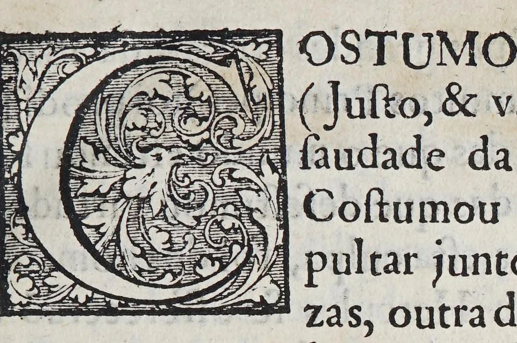 An illustration from Panegirico ao serenissimo rey D. Ioão o IV., restaurador do reyno Lusitano. : Offerecido ao muito alto, e muito poderoso rey D. Affonso VI. nosso senhor., 1666, leaf 11