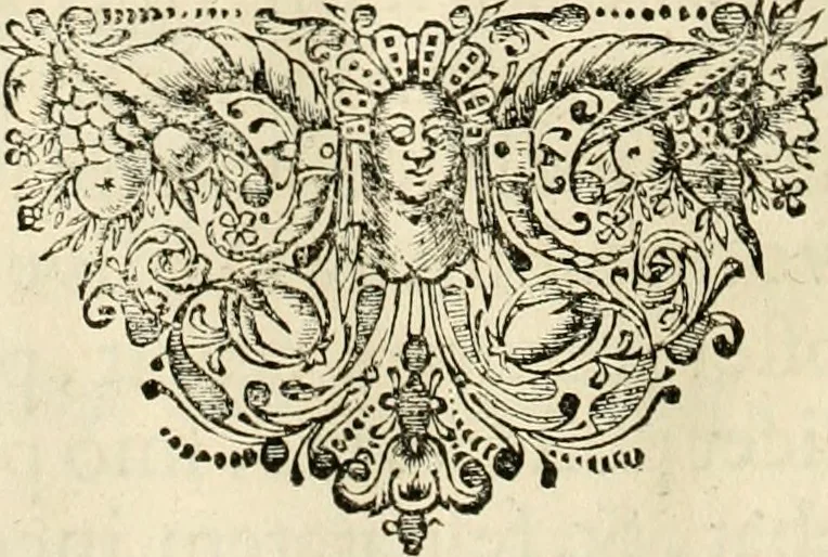 An illustration from Panegyricus aeternaturae gloriae invictissimo semper hostium triumphatori ... Ioanni Christophoro Königsmarchio ... destinatus : atq[ue] hoc die, qui laudum ipsius primus factorum supremus est, non dolori at solatio, non funeri sed splendori, coelo orbi posteris in gloriam famam exemplum expositus ..., 1663, leaf 105