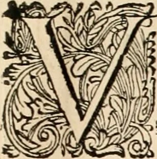 An illustration from Panegyricus aeternaturae gloriae invictissimo semper hostium triumphatori ... Ioanni Christophoro Königsmarchio ... destinatus : atq[ue] hoc die, qui laudum ipsius primus factorum supremus est, non dolori at solatio, non funeri sed splendori, coelo orbi posteris in gloriam famam exemplum expositus ..., 1663, leaf 116